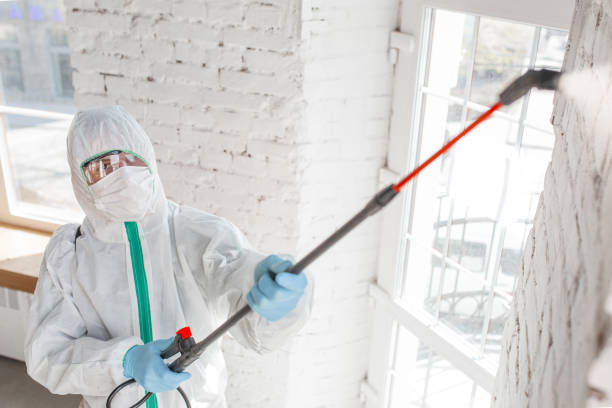 Environmental Consulting for Mold Prevention in Leetsdale, PA