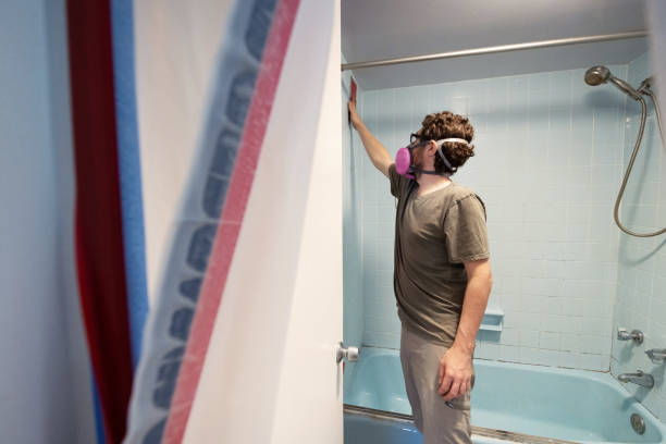Trusted Leetsdale, PA Mold Removal Experts