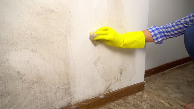 Mold Remediation for Rental Properties in Leetsdale, PA